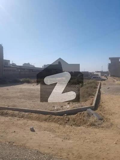 Pir Gul Hassan Town Survey 104 West Open