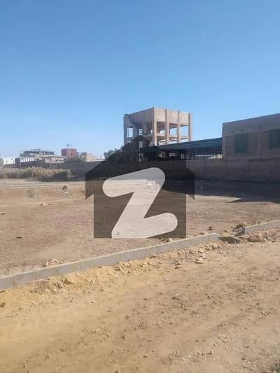پیر