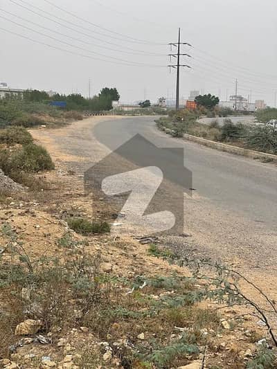 پورٹ