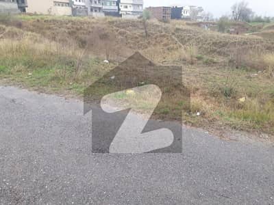 Sun Face 30x60 Plot Near From Park