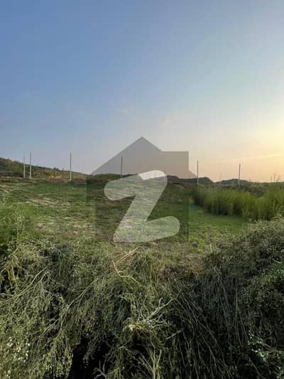 I-15/2