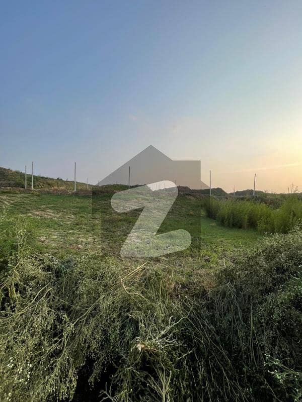 I-15/2 Plot Urgent For Sale 25x50 I-15/2 Plot Urgent For Sale 25x50