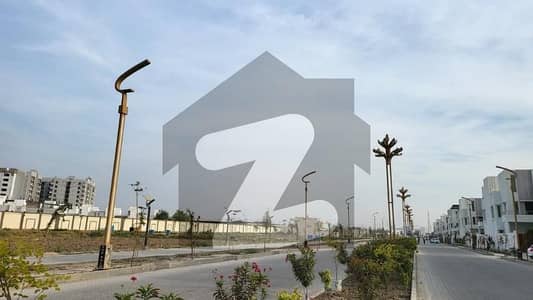 Palm