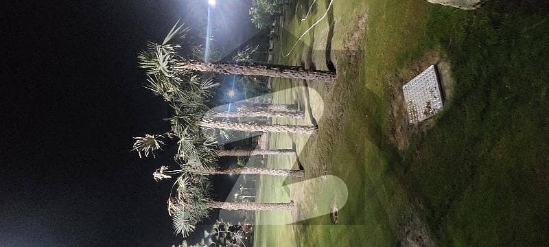 17 KNAL LAVISH, FURNISHED FARM HOUSE AVAILABLE FOR SALE 17 KNAL LAVISH, FURNISHED FARM HOUSE AVAILABLE FOR SALE