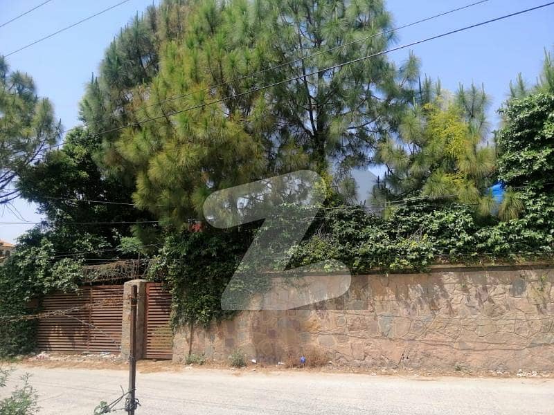 Commercial plot Main road Commercial plot Main road