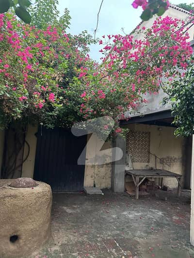 فیروزپور