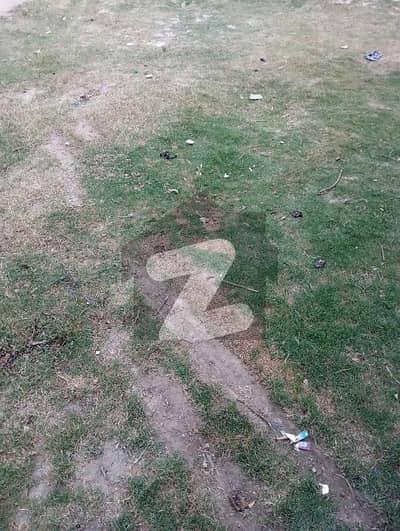 شاہ