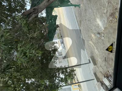 Dha