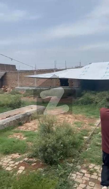 2 Kanal For Cattle Farm In Tarnol For Rent 2 Kanal For Cattle Farm In Tarnol For Rent