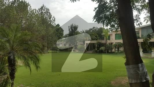 بیدیاں