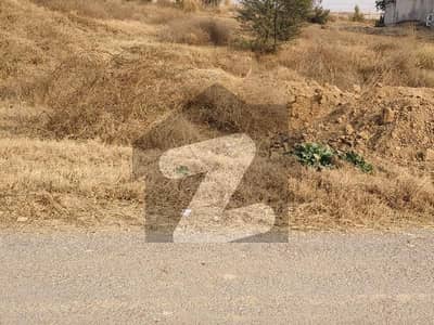 گلشنِِ