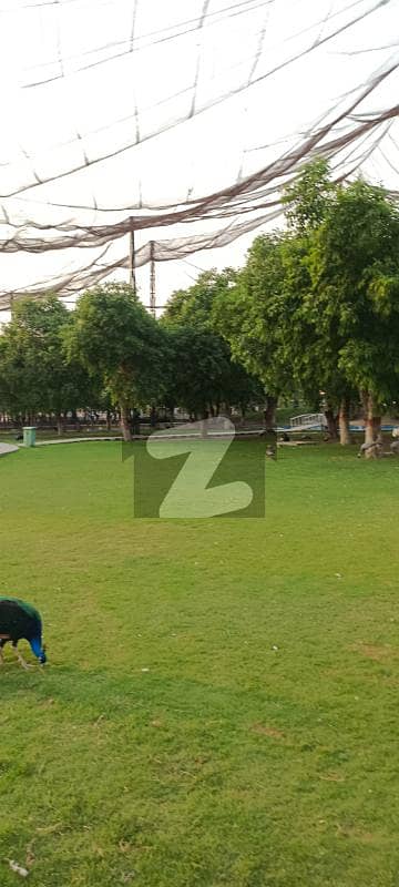 8 marla low budget plot for sale
