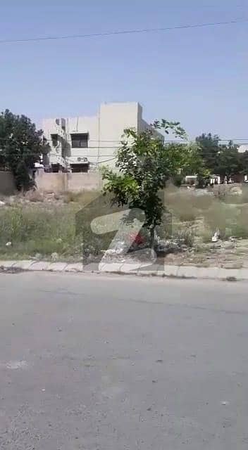 ڈی
