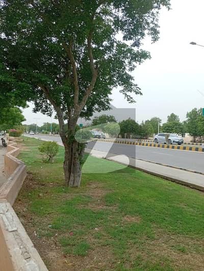 ملیر