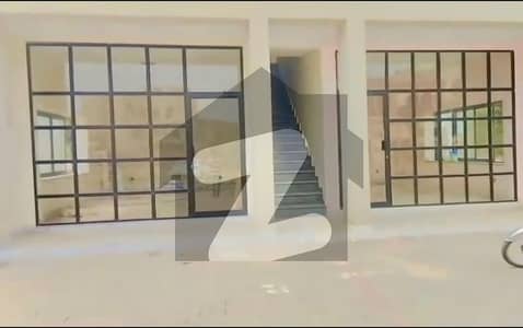 بش