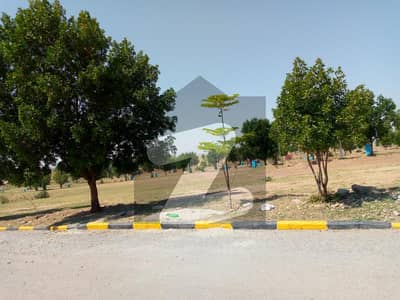 ڈی