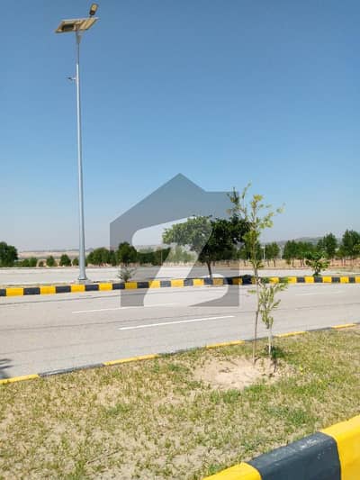ڈی