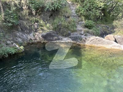 کوٹلی ستیاں راولپنڈی میں 300 کنال زرعی زمین 75.0 کروڑ میں برائے فروخت۔