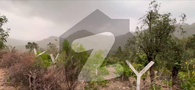 Prime 300 Kanal Land With Own Water Falls - Blue Lagoons & Water Front On Simly Dam Lake.