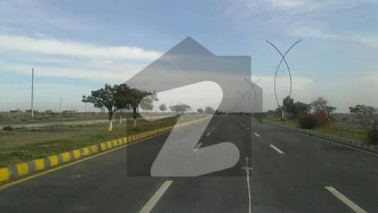 ریگی