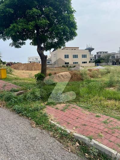 ڈی