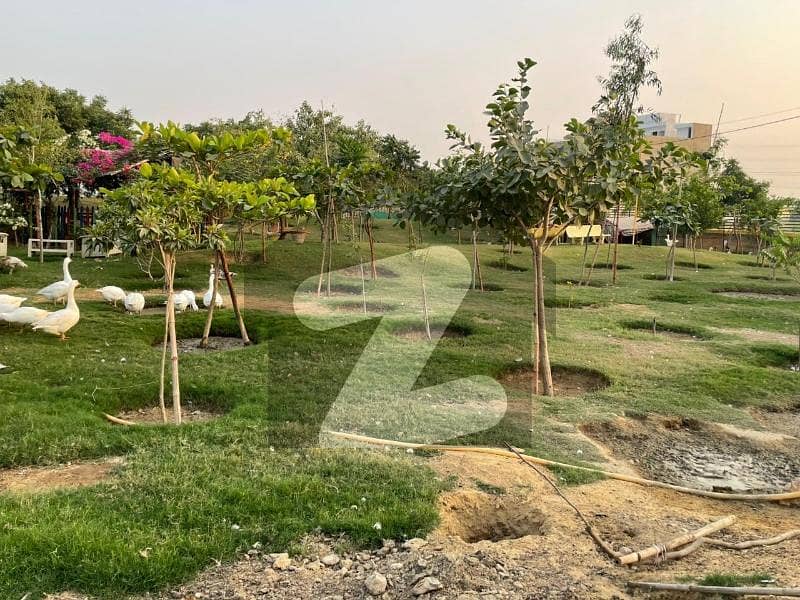 شاہ لطیف ٹاؤن بِن قاسم ٹاؤن,کراچی میں 5 مرلہ رہائشی پلاٹ 22.0 لاکھ میں برائے فروخت۔ شاہ لطیف ٹاؤن بِن قاسم ٹاؤن,کراچی میں 5 مرلہ رہائشی پلاٹ 22.0 لاکھ میں برائے فروخت۔