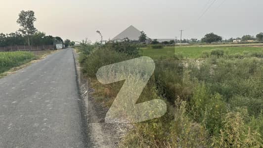 Farm