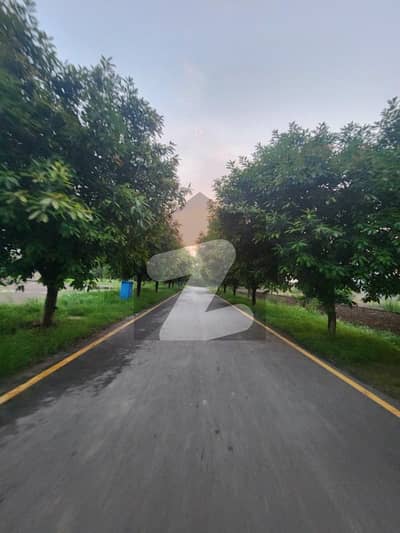 بحریہ