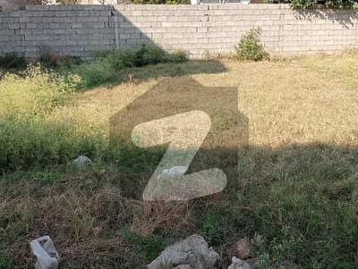 بنی