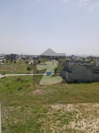 یونیورسٹی