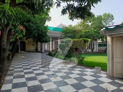 حیات