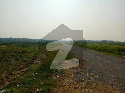 25x50