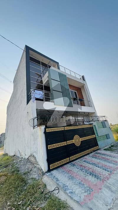 نیو