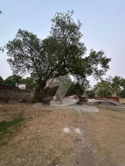 کینٹ