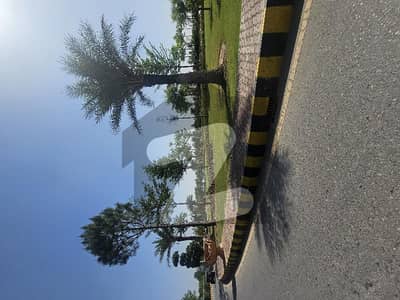 Gulberg