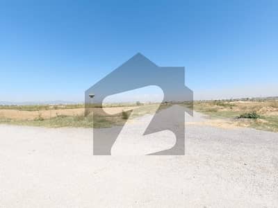 AT
