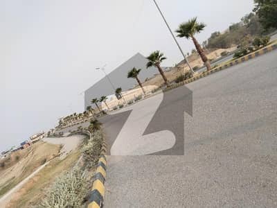 تاج