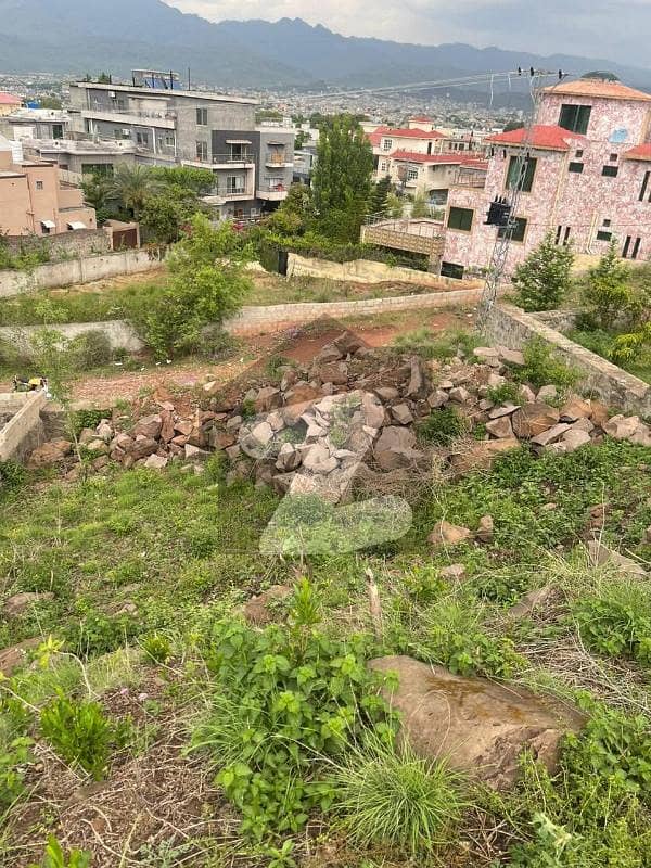 Investor Rate 1 Kanal Plot Available For Sale Investor Rate 1 Kanal Plot Available For Sale