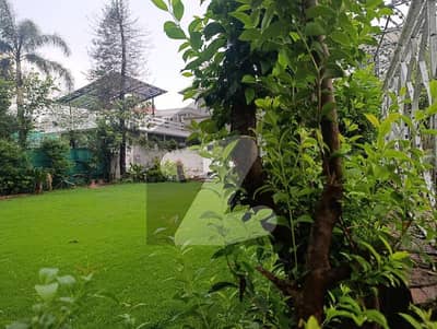 E 7 Proper Corner Back Open With Extra Land 800 Square Yards And 934 Sy Available