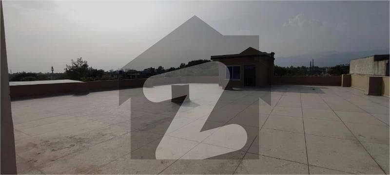 26 