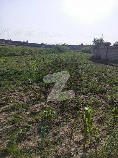 150 Kanal Agricultural Land for Sale Near Neela Dulha Interchange, Chakwal