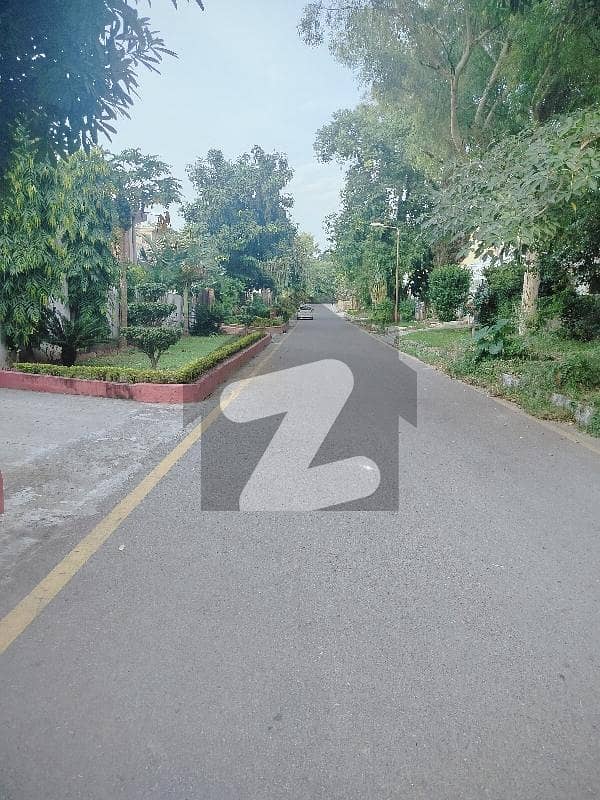 plot for sale in d12/4 islamabad