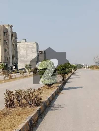 یونیورسٹی