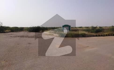 سادی