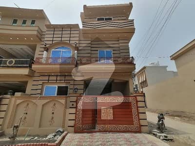 صنوبر