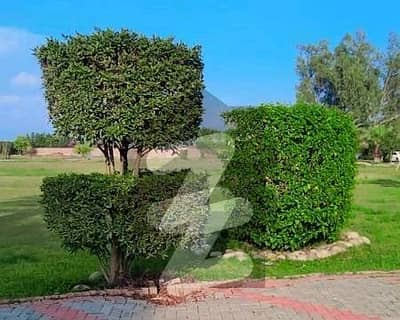 بیدیاں
