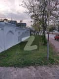 24 
