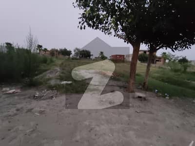 Zamar