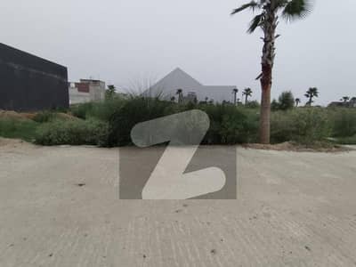 زمر