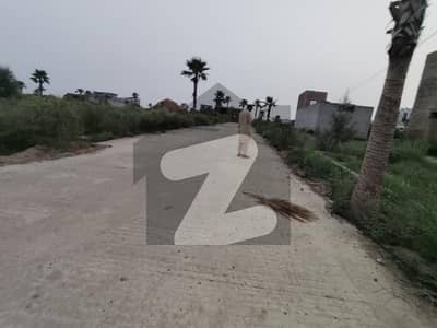 Zamar